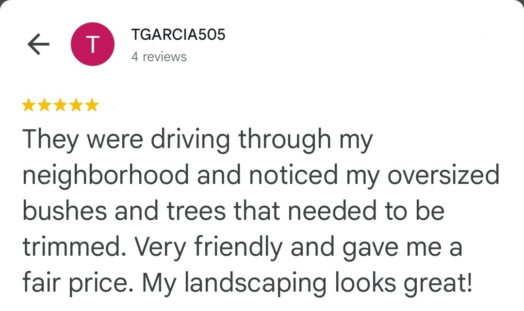 dargu landscaping service landscaper austin texas round rock near me tree